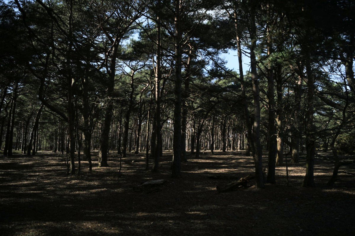 Soundmaker9's tweet image. Christchurch from St Catherine's Hill