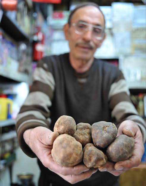 Senede 1 hafta yerin altından çıkan bu keme mantarı etten daha lezzetli ve  çok değerli kilosu şuanda 400 ile 800 lira arasında, sebebi ise yılda sadece 1 hafta 10 gün  konuyu şuraya getlreceğim  Ramazan'ın son 10 günüde yılda 1 defa geliyor. Senede 10 gün çok değerlidir o yüzden