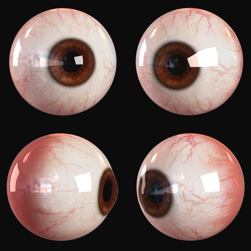 InformaCosmos's tweet image. 16 DATOS ASOMBROSOS SOBRE EL OJO HUMANO 

1. Los ojos marrones son más comunes en la población mundial (más del 50% de personas lo tienen), pero el color de ojos más raro es el verde.

2. El ojo es el órgano más complejo del cuerpo humano, a excepción del cerebro.

3. El ojo es…