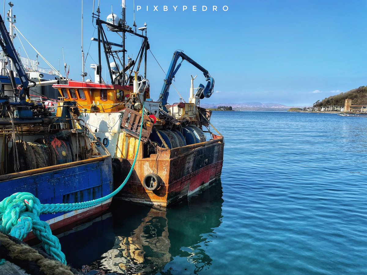 Oban Harbour on a beautiful day. Colours are unaltered - gorgeous blue water & skies. St Columba’s Cathedral visible in the distance, on the right. 

@wildaboutargyll @WildArgyll @ArgyllandIsles @Argyll_IslesApp #oban #argyllandbute