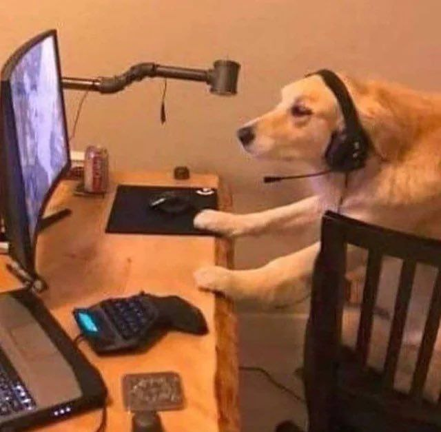 Etherpyr's tweet photo. according to my calculations after studying high level degrees in applied finance, corporate finance, accounting, macro economics, quantum computing & many more. 

ive come to the conclusion that @boopthecoin is a billion dollar memecoin on $arb chain larping as a sub 10m coin

$boop