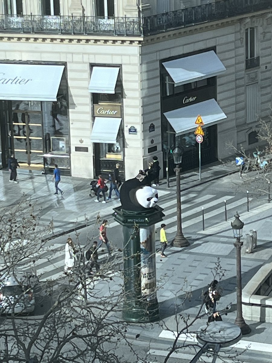 Spotted! Panda in Paris 🐼 🇫🇷
