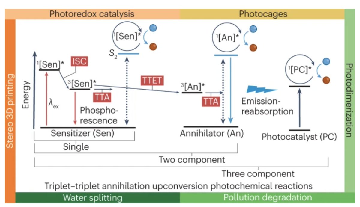 Ever heard of triplet-triplet annihilation upconversion?? @ganghan_umms sure has! Check out his latest review article about this process and its applications in immunotherapy, deep tissue imaging, and more! @natrevchem pubmed.ncbi.nlm.nih.gov/38514833/