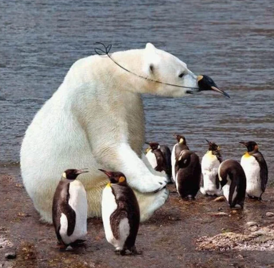 vx-underground tweet media