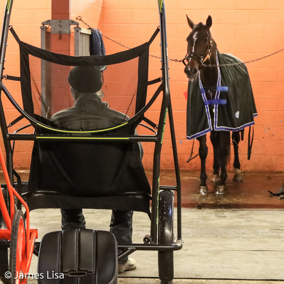 Patiently waiting for the 14th Race @themeadowlands @JessicaOtten1 @DaveLittleBigM #harnessracing #PlayBigM