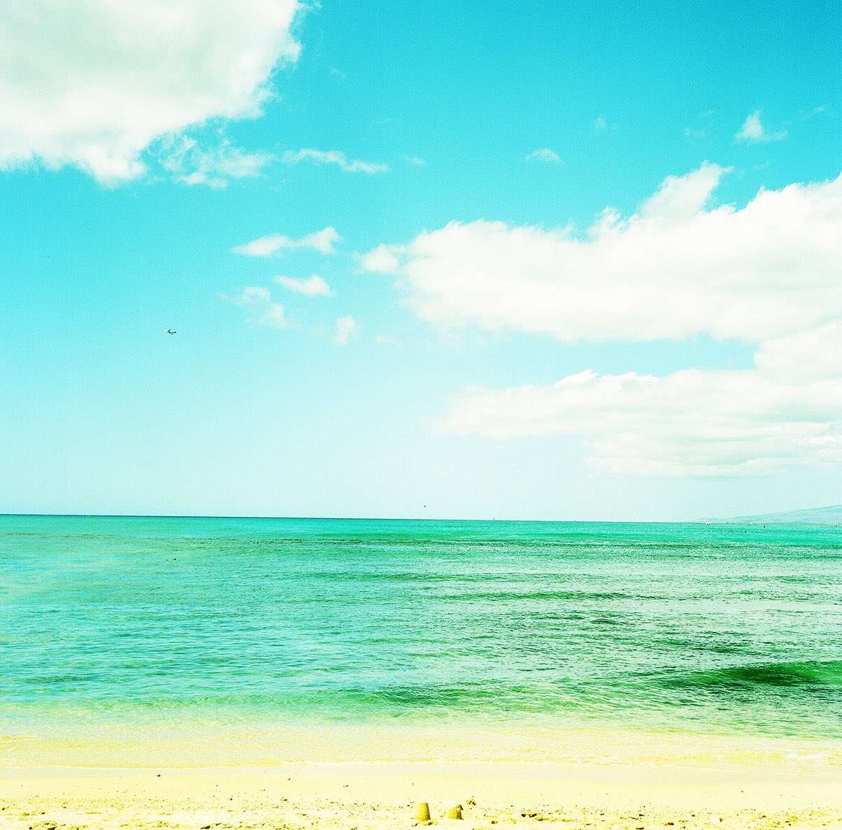 WAIKIKI PHOTOGRAPH
beautiful beach , oaf
#hawaii 
#oafu 
#beautifulbeach 
#waikiki 
#ワイキキ
#skyandsea 
#beautifulsky 
#オアフ島 
#energyplace 
#filmphotography 
#filmcamera 
#rolleiflex 
#rolleiflex28f 
#ローライフレックス 
#ローライフレックス28f 
#waikiki_inc_photograph
