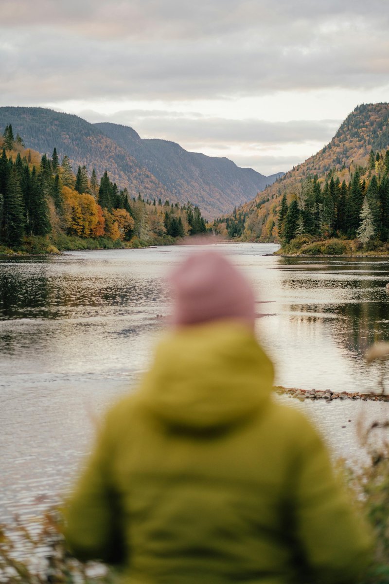 Ferman öztürk tweet media