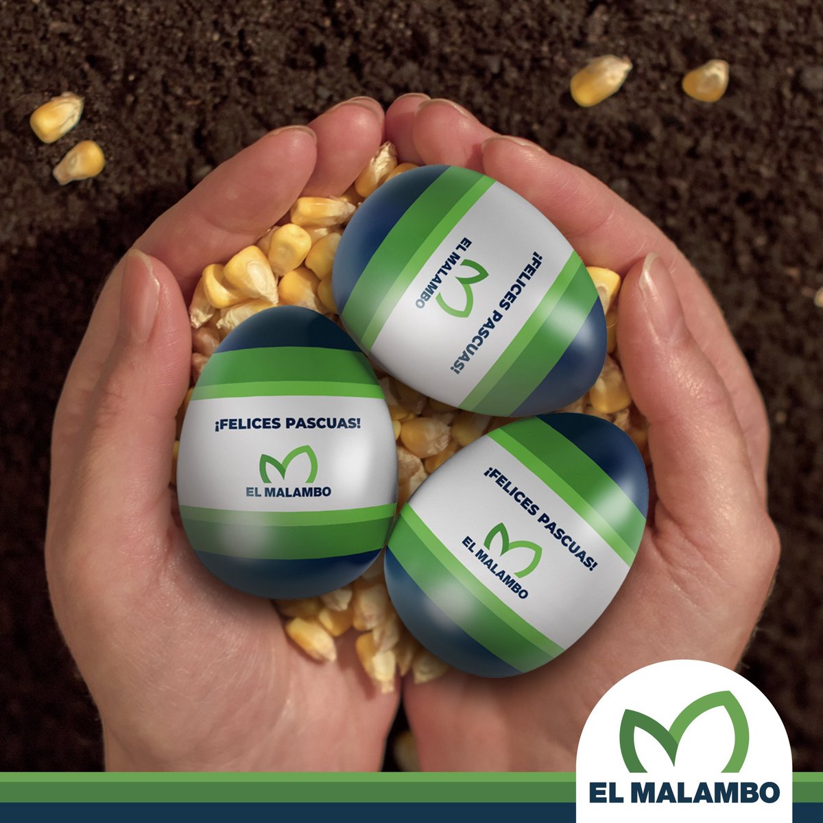 👩🏻‍🌾 En el campo o en la ciudad. Cerca o a la distancia. Celebremos estas pascuas más unidos que nunca.

🐇 ¡Felices Pascuas!.

#FelicesPascuas #Pascuas2024 #CampoArgentino #GeneralVillegas