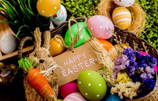 directbed's tweet photo. Happy Easter from https://t.co/1EWk28wCiR ! https://t.co/cPJPScCh9p