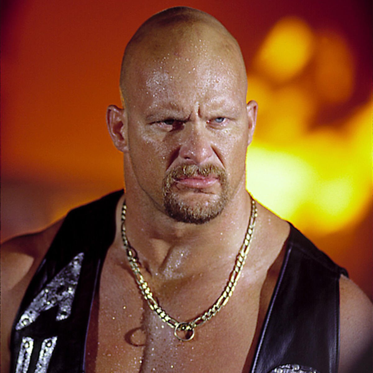 yungravnn's tweet image. can a predator survive the rattlesnake ?