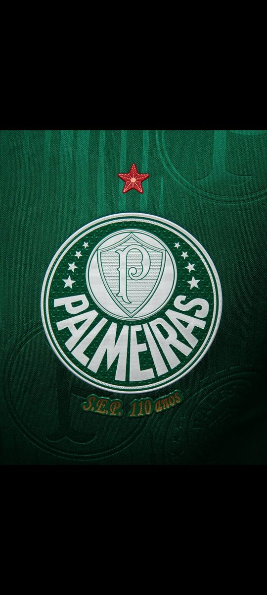 @Palmeiras @Palmeiras @_JessicaLobato #Seremos #AvantiPalestra #TodosSomosUm 🐷💚🏆