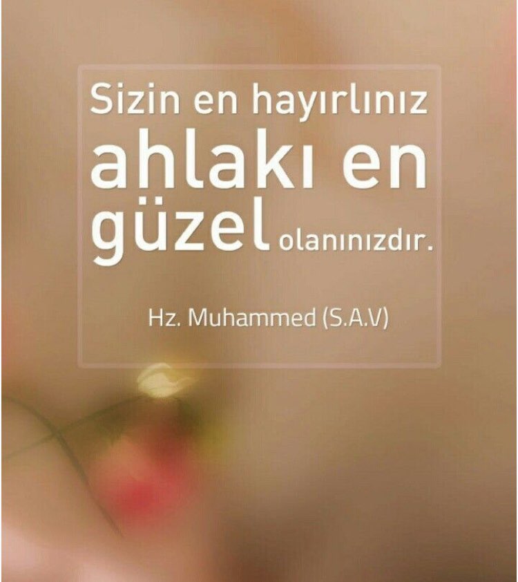 abanargum2's tweet photo. 🌹YA HAK 🌹 https://t.co/l7OBqRrGD4