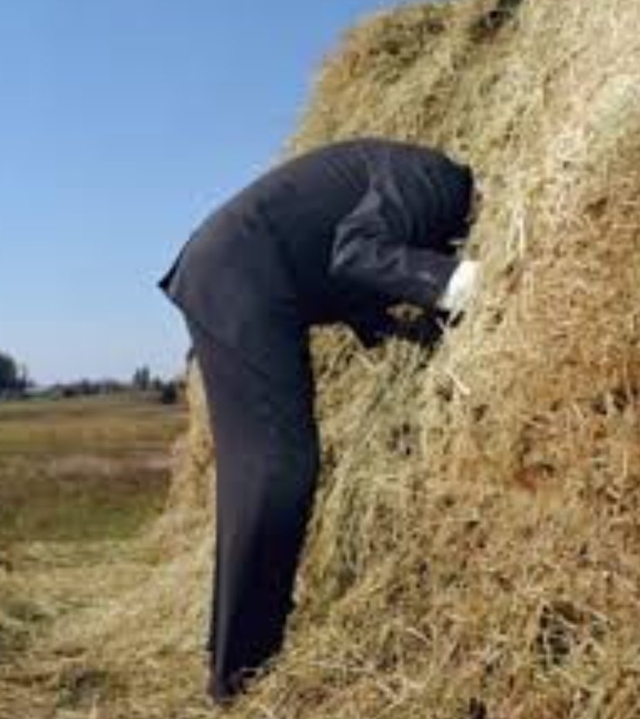 Looking for a good crypto project can be like looking for a needle in a haystack!
<a href="/colRverse/">colR</a> is that needle, and if you're reading this, then you've found it! 
Find out more info @ colr.io
And mint Your very own Movie nft to be a part of our first movie 'Patient