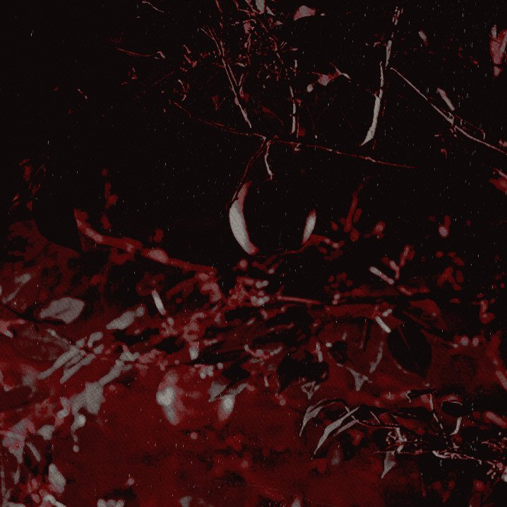 ㅤ
ㅤℊolden  ashes  shall  blind  the  west
ㅤ𝘃𝗶𝗰𝘁𝗼𝗿𝘆  shaped  in  a  claw  rest
ㅤand  a  decision  shall  reap  the  𝐬𖦹𝐮𝐥
ㅤof  the  𝗁͟𝖾͟𝗋͟𝗈  who  stands  tall  ⸼
ㅤ