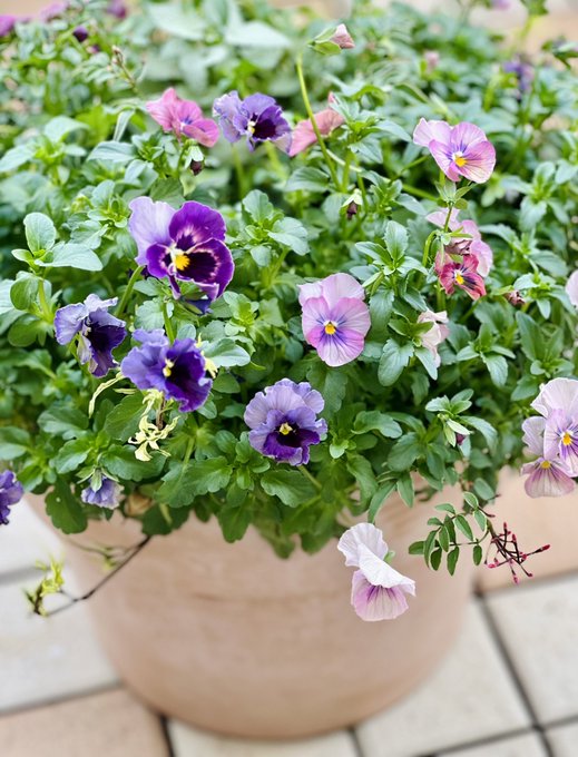 Twitterのコスプレ画像45