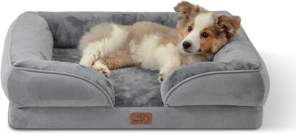 Bedsure Orthopedic Bed for Medium Dogs

Copy and paste link:

amzn.to/3THVB5w

#DogAccessories #WaterproofDogSofaBed #MediumSupportiveFoamPetCouch #WashableCover #Waterproof #Nonskid

As an Amazon associate I earn from qualified purchases