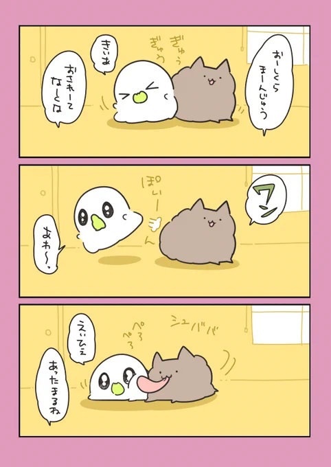 おしくらまんじゅう #おばちぇ #漫画が読めるハッシュタグ  https://t.co/GWypqajrLr 
明日からは @obache_official から更新していきます! 