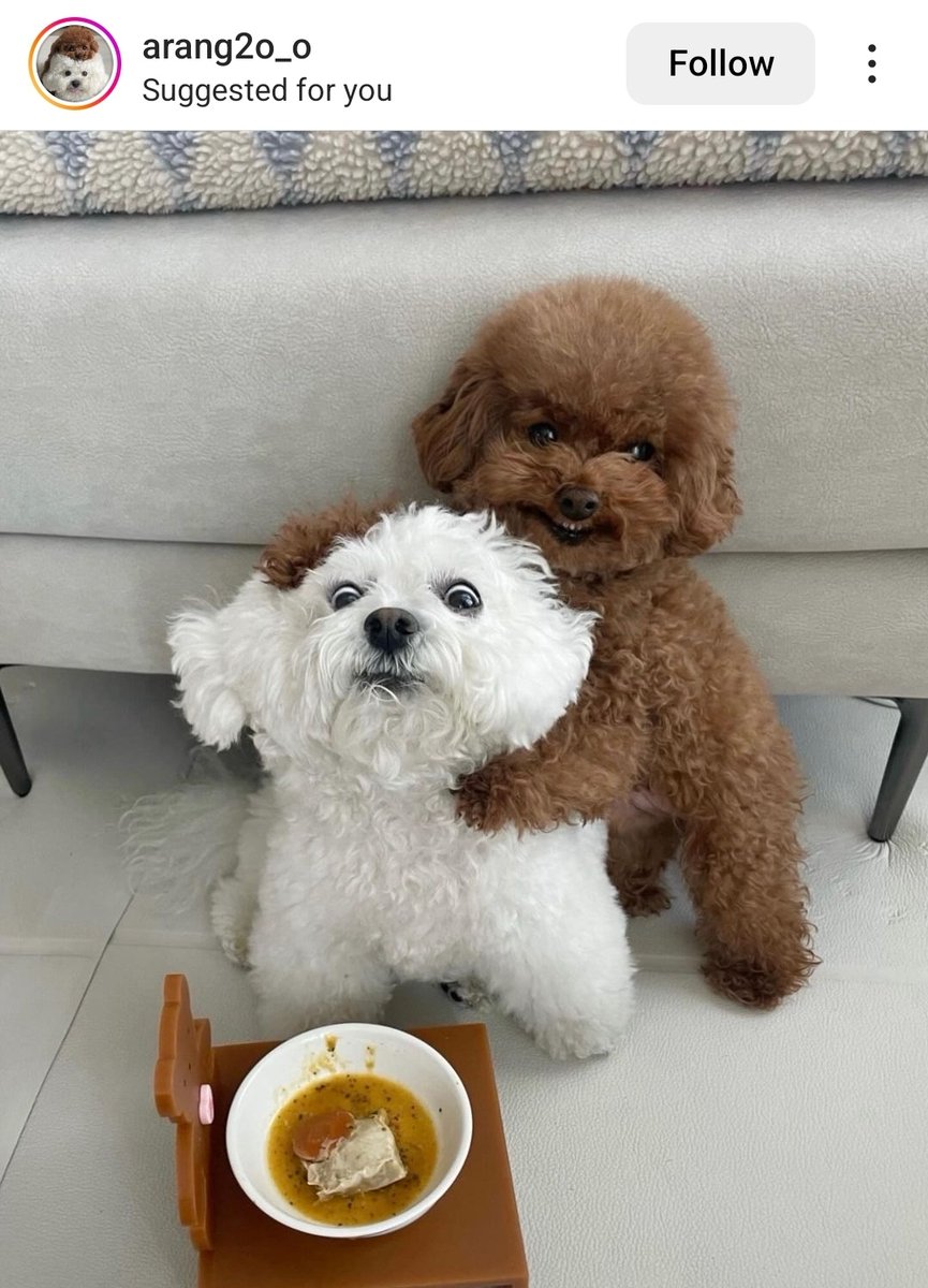 ส่งกั่ยมาไม่งั้นอินี่ตาย