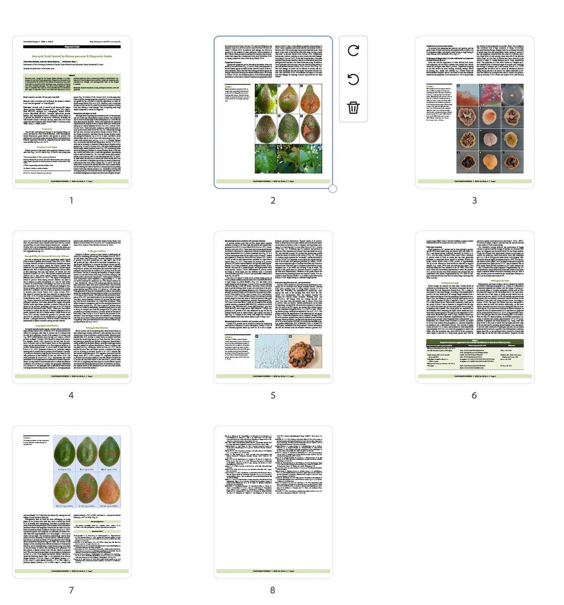 Finally, our #avocado #aguacate #scab diagnostic guide is in it's final format! Check it out! Avocado Scab Caused by Elsinoe perseae: A Diagnostic Guide apsjournals.apsnet.org/doi/full/10.10… @UFPlantPath @planthealthprog @UFTropical @NPDN @USDA_APHIS @USDA @LedersonGanan @Chrissiebely 🥑🥑