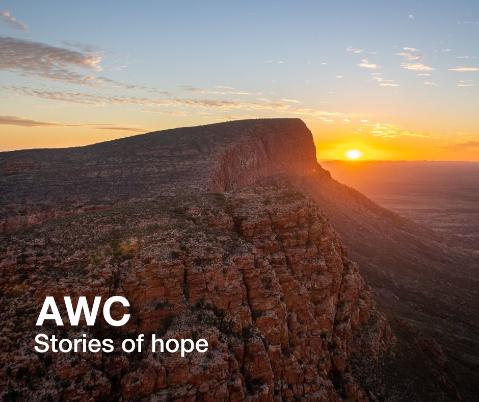 awconservancy's tweet photo. Positive conservation news to end another month π
We're breaking up your newsfeed with some of the top stories we shared this month.
Which is your favourite? Let us know in the comments!
#AWC #AustralianWildlife #AWCInTheField #PositiveNews #ConservationOptimism https://t.co/s1oMbUnrKx