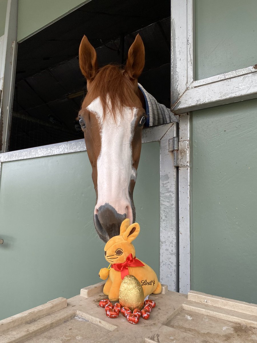 godolphin's tweet photo. 🇦🇺 Some of #TeamGodolphin’s site Easter egg hunt 📸 can you spot the bunnies and eggs?
1️⃣ #Cascadian at Carbine Lodge, Flemington
2️⃣ #Zapateo and Erin at Osborne Park
3️⃣ #Paulele at Northwood Park
4️⃣ #Parisal and Shauna at Osborne Park https://t.co/8tMak0JV3X