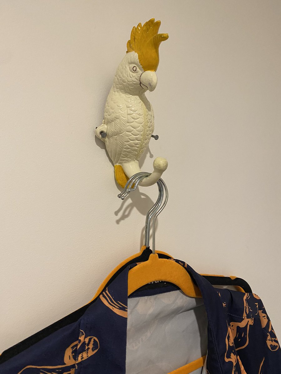 Airbnbs are good if you ever wanted to know what it would feel like to hang your shirt off on a cockatoo’s massive erection