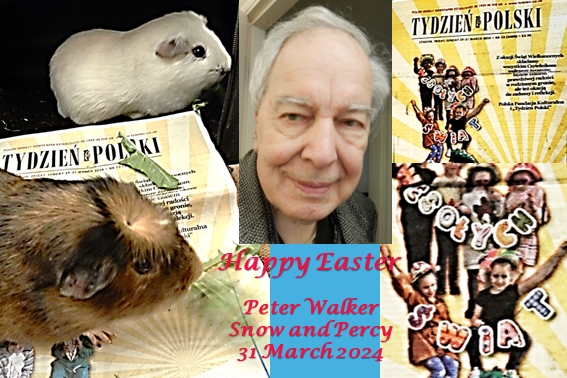 Peter Walker tweet media