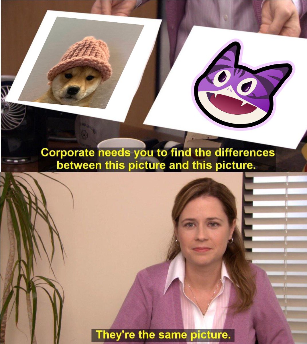 Degen chain corporate called and they told us that $DCAT needs to calm down with the betting, we told them SHOOTERS SHOOT