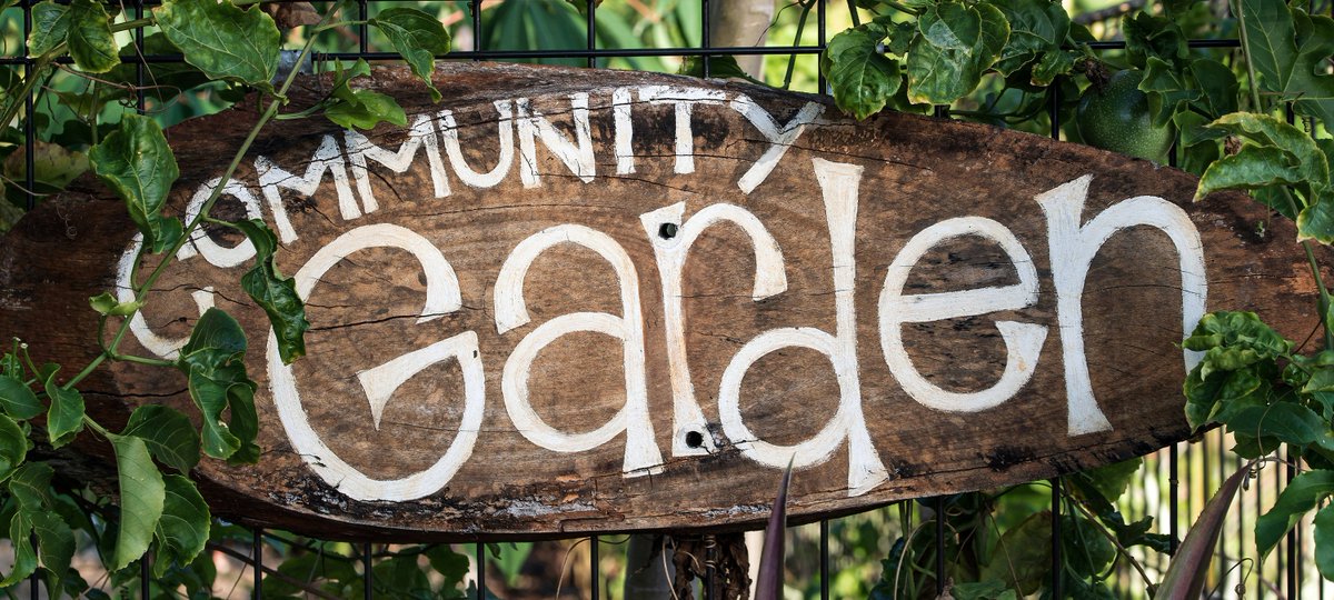 Gil Penalosa #Cities4Everyone (@penalosa_g) on Twitter photo #UrbanHealth #UrbanFarms
A one-acre garden in a former coal mine in Freestone, Texas, has produced more than 10,000 pounds of produce since 2022. It's helping feed 2,000 people.
Urban farms combat food insecurity + strengthen communities. Win-win. <a href="/KHayhoe/">Prof. Katharine Hayhoe</a>
bit.ly/43C7zlX #UrbanHealth #UrbanFarms
A one-acre garden in a former coal mine in Freestone, Texas, has produced more than 10,000 pounds of produce since 2022. It's helping feed 2,000 people.
Urban farms combat food insecurity + strengthen communities. Win-win. <a href="/KHayhoe/">Prof. Katharine Hayhoe</a>
bit.ly/43C7zlX