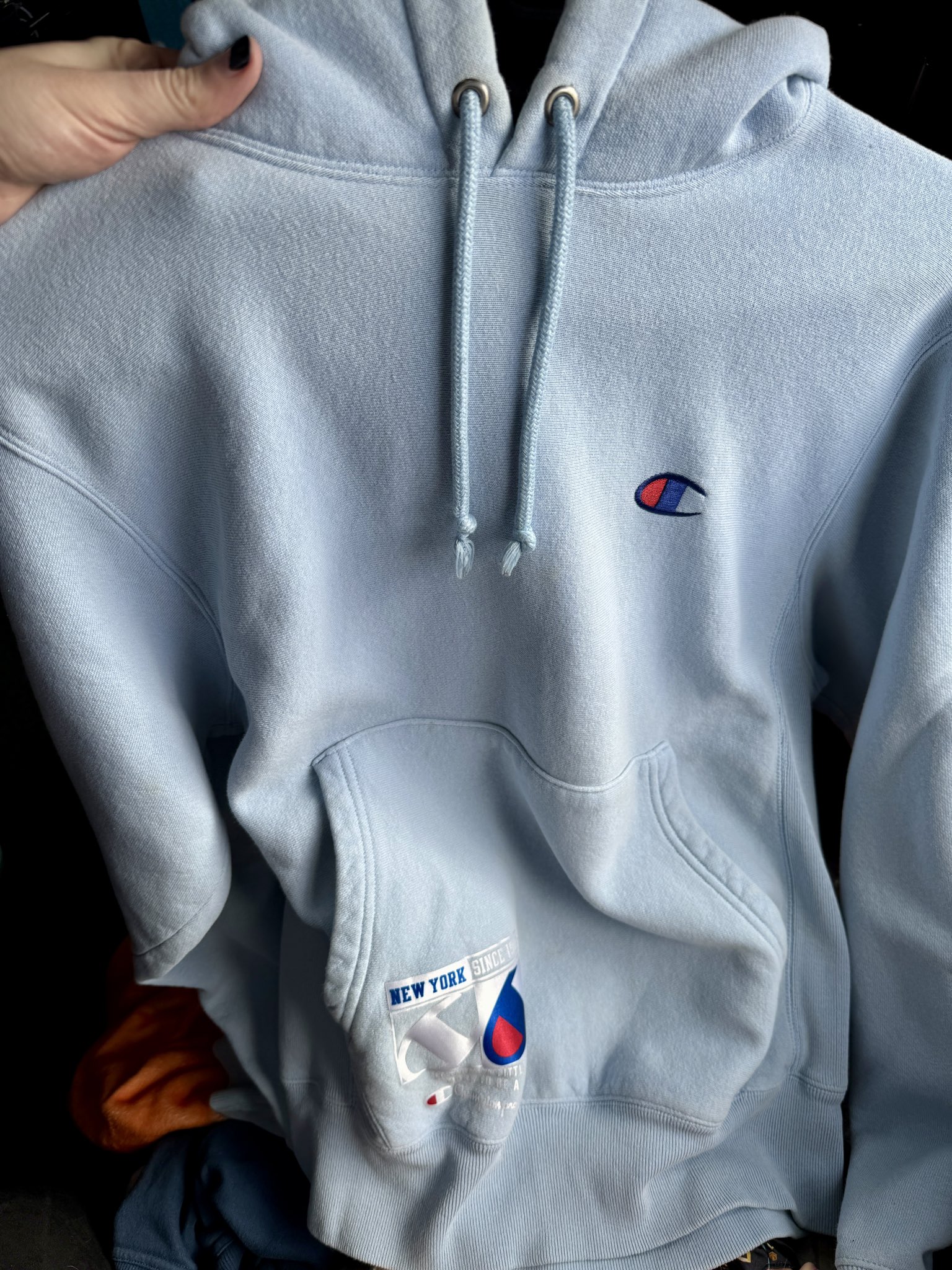 RoseColoredChaos on X I ve resurrected an old hobby of buying vintage or thrifted clothing and customizing the pieces to my liking. First up turning this blue Champion hoodie into the pictured