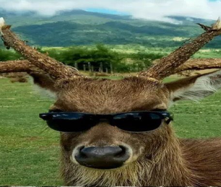 GalaxyZeinz's tweet photo. i      am     cooler       than    you.    

 gay           boy https://t.co/04vT3b4DCs