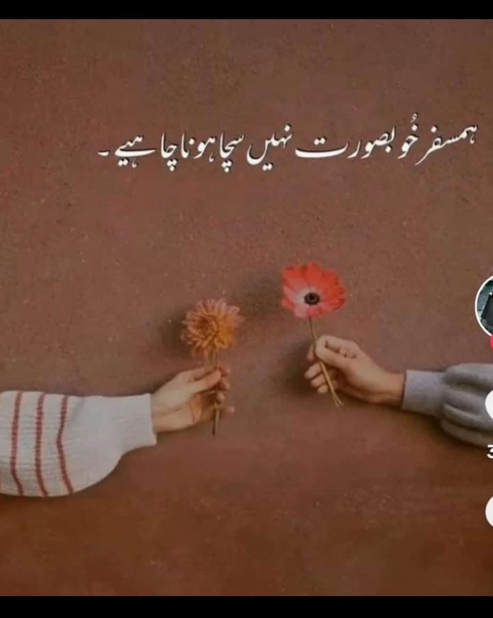 Assalamu alaikum everyone ☺️💗
Good morning everyone 🌄🌹
How are you everyone ❣️
#amici23 #spookymonth