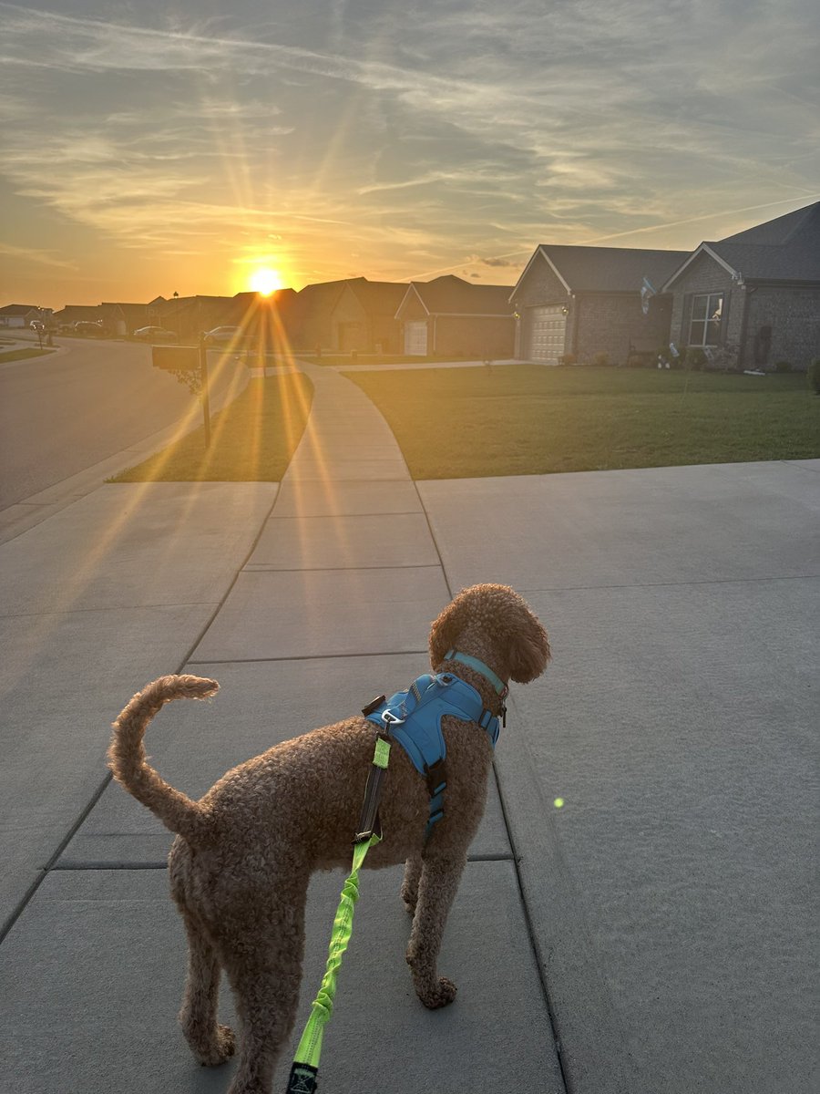 Evening runs with Oaks are my favorite! #Oakley