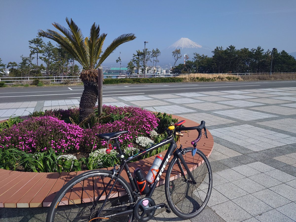 EMONDA_ALR6_SL6's tweet photo. おはようございます
堤防は相変わらずの風
こんな日はやっぱりこっちのバイクの方が格段に楽w
今日も一日👷♀️ご安全に👷
#チヨクル
#あひる倶楽部静岡支部
#レッツチヨクル
#Émonda
#ALR6
#レーゼロ https://t.co/OPgUDQNzI2