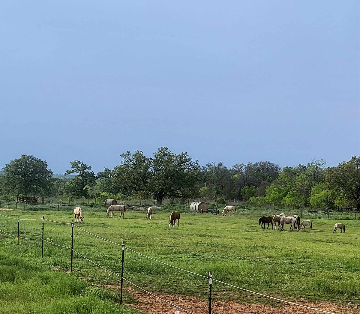 Hello friends! We could not let this day pass without expressing yet again our heartfelt gratitude to each and every one of you who chose to help us with our latest round bale fundraiser. As seen in this photo taken just a little bit ago, we truly are down to those last two…