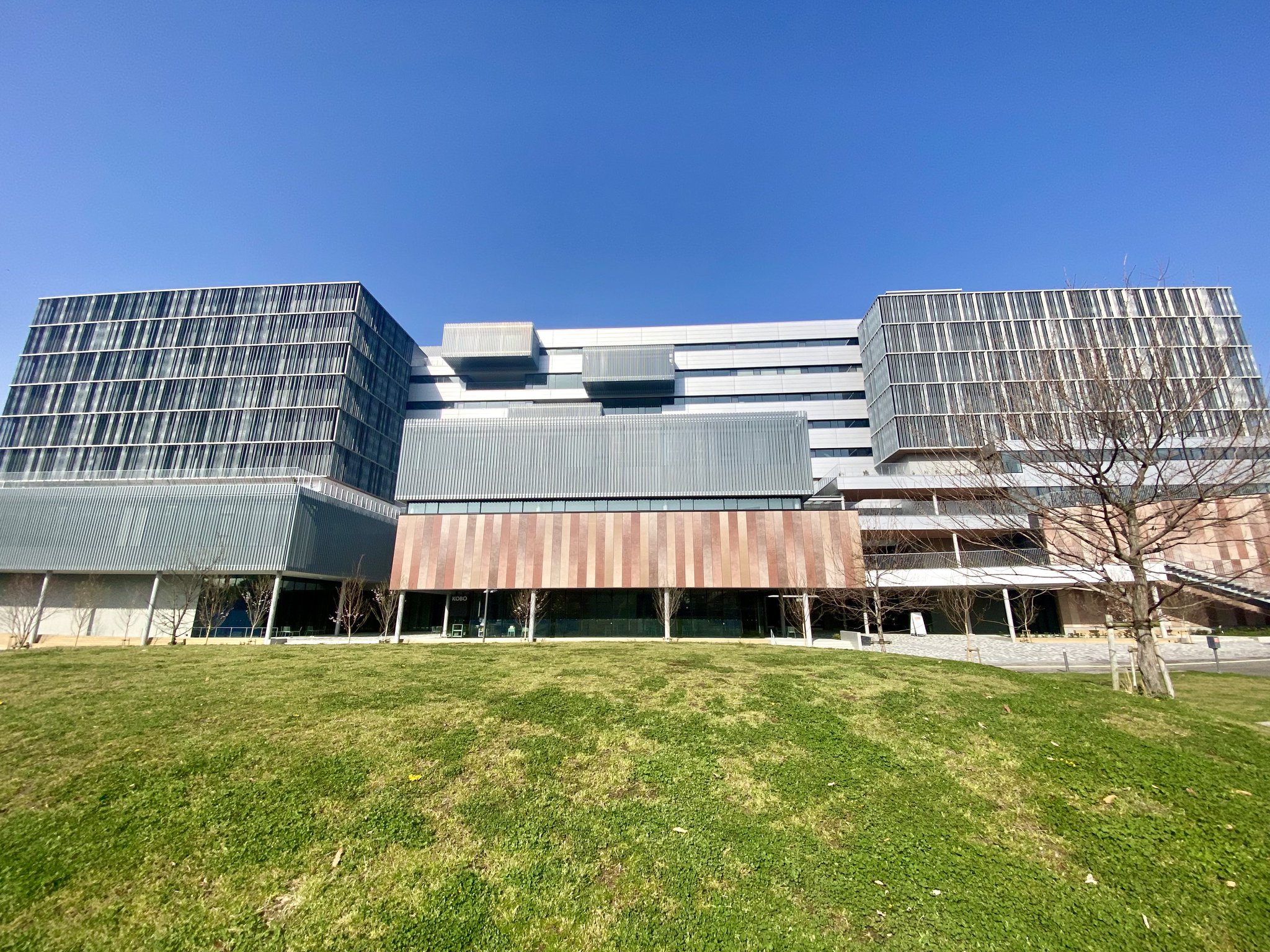 ritsumei-kinugasa.jpg
