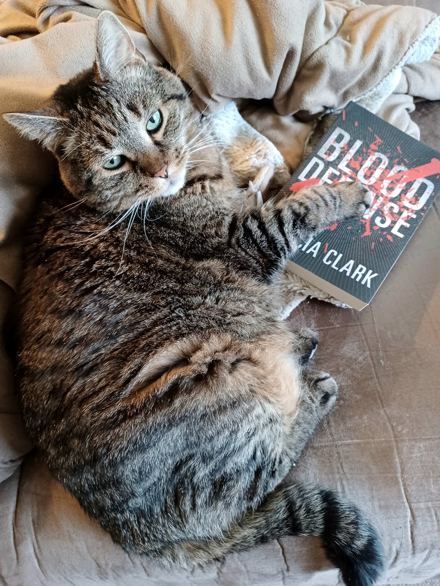 Somebody got his paws on BLOOD DEFENSE! 😻📚