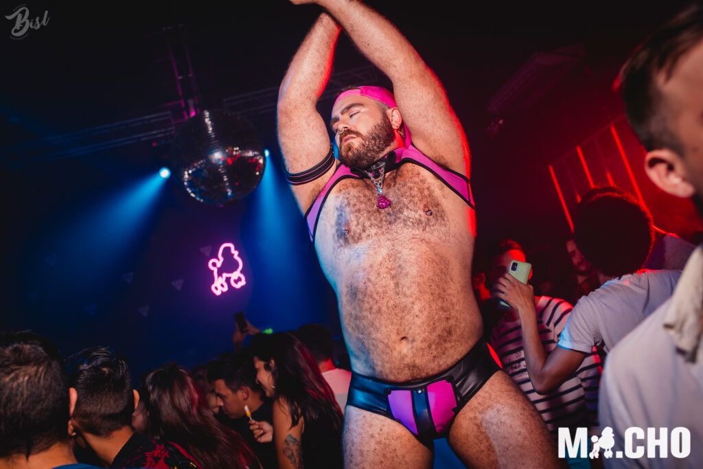 🌟✨ Spotlight on Beltrán: The Furry, Fabulous Gogo Bear! 🐻💃 @scruffystocky buff.ly/3TylJjv buff.ly/3TzPhxe