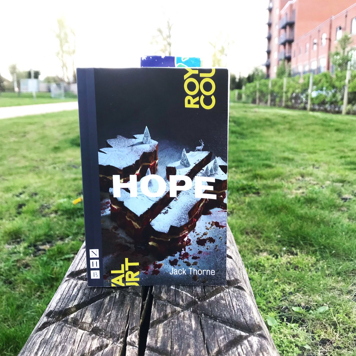 Play No 985 - Hope by Jack Thorne. An urgent political play - this is a funny and scathing fable attacking the squeeze on local government. #playreading #Hope #JackThorne