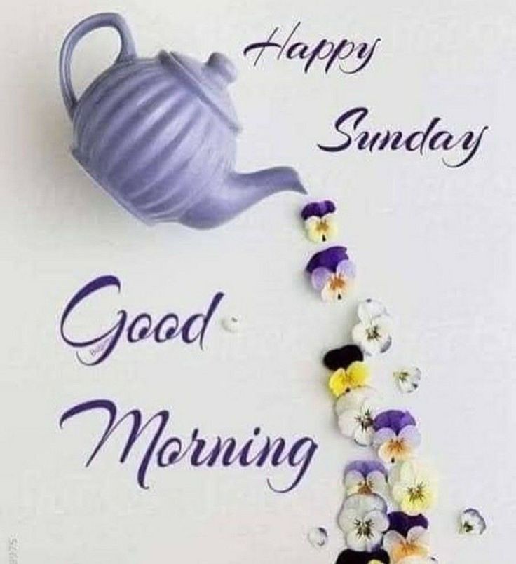 Asslam o Alaikum!

May you all have a blessed day!!

Happy Sunday ☺️