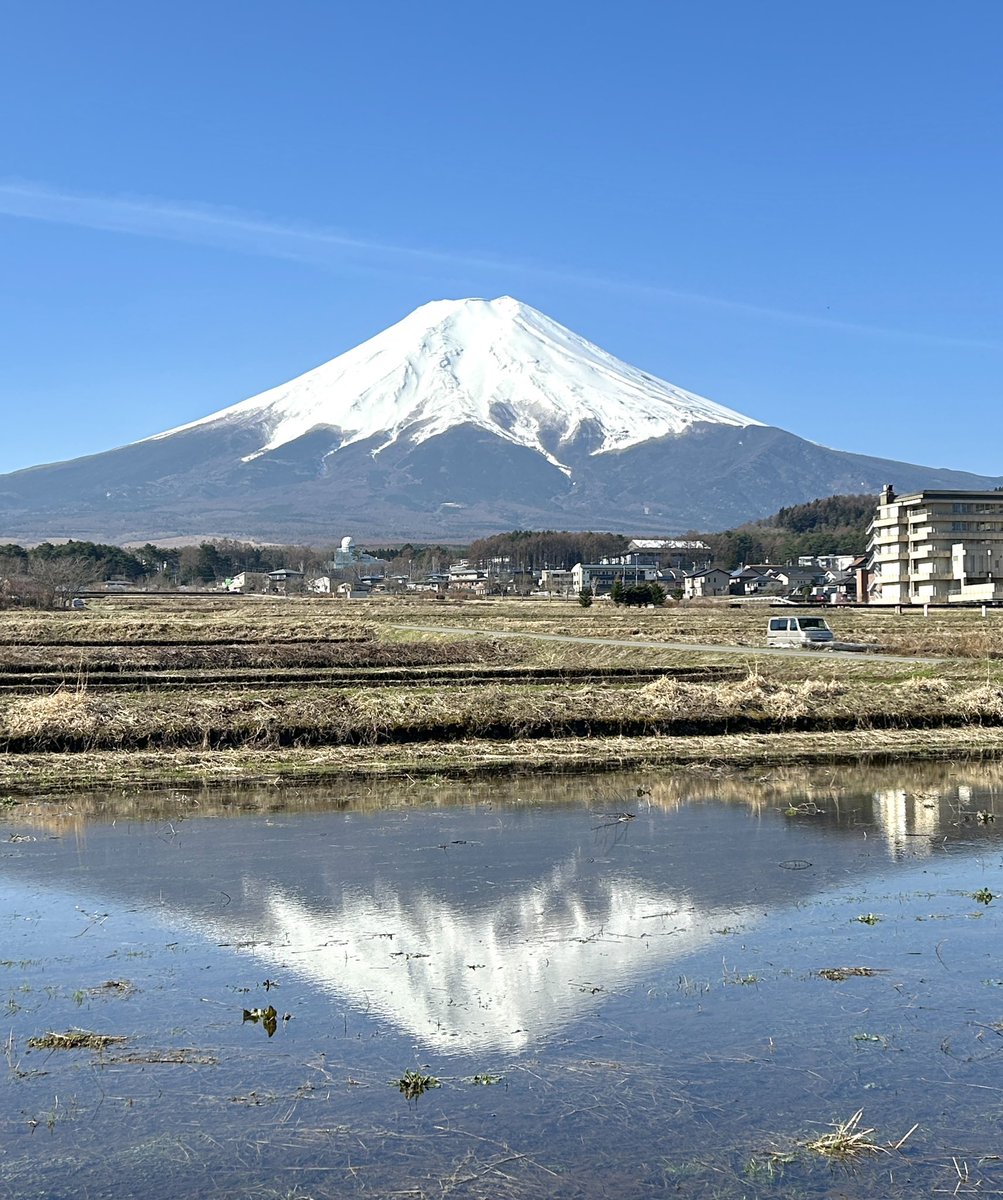 3月31日(日)
一部の田んぼに水が入り
　逆さ富士が見れるようになりました☻
今日も日中は気温が上がり、
　桜の開花を後押ししてくれそうです𖦥𖦥 
.
Water has been added to some rice fields, and can see Upside-down Mount Fuji reflected in the water. 
#富士吉田 #農村公園 #fujiyoshida