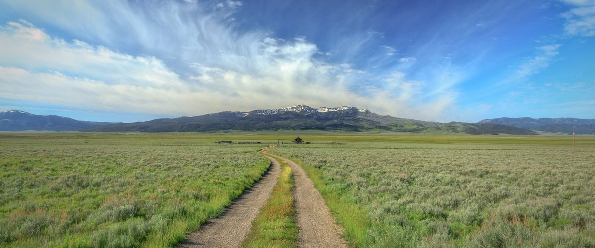 Solitude 
#montana #ranchlife