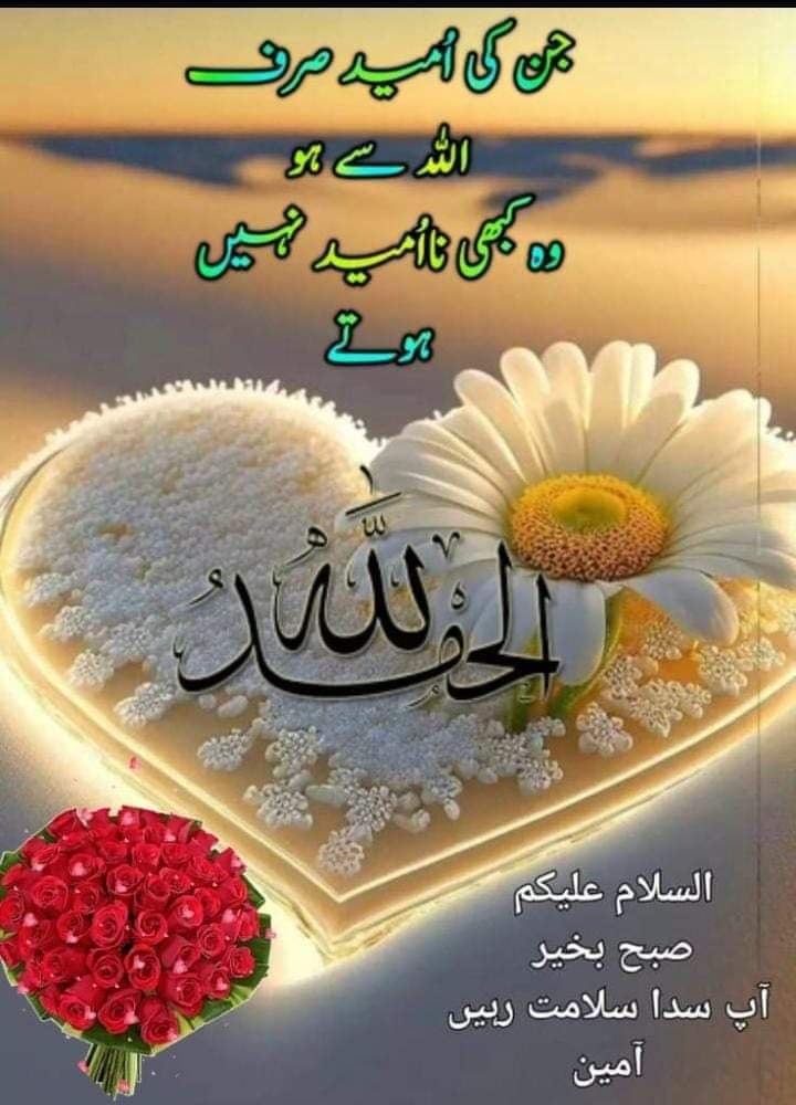 السلام و علیکم Good Morning