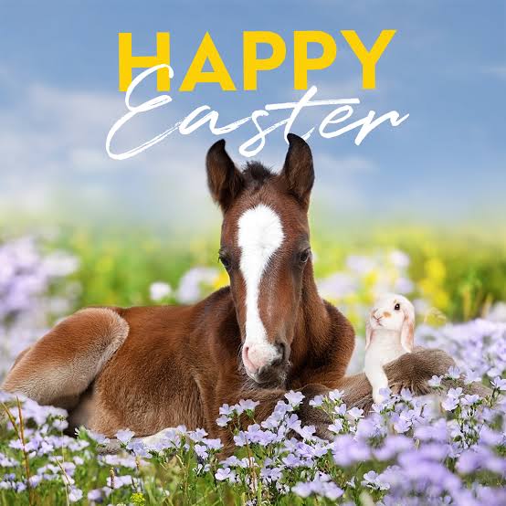 Wishing all of our Racing Mates a Happy Easter 🐣 A reminder to check in on one another and ask Are You OK? Visit racingmates.com.au for further information. #racingmates #letstalk