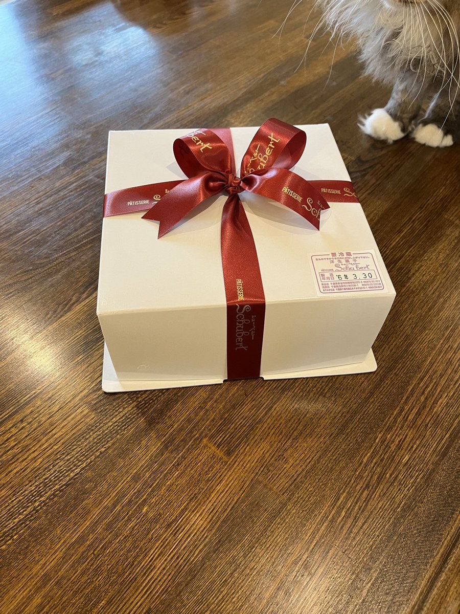 georgianhouse2's tweet photo. 東金のケーキ屋さんシューベルトのチョコケーキCaraqueです。本日、娘の合格祝で買ってきました。右上の足はおまけです。
#HouseStudio #一軒家 #一棟 #ハウススタジオ #洋館 #CM撮影 #ドラマ撮影 #MV撮影 
#映画撮影 #ロケ #猫 #九十九里ロケ地　GeorgianHouse https://t.co/jEtfBpsF1D https://t.co/TO8rSnmws9