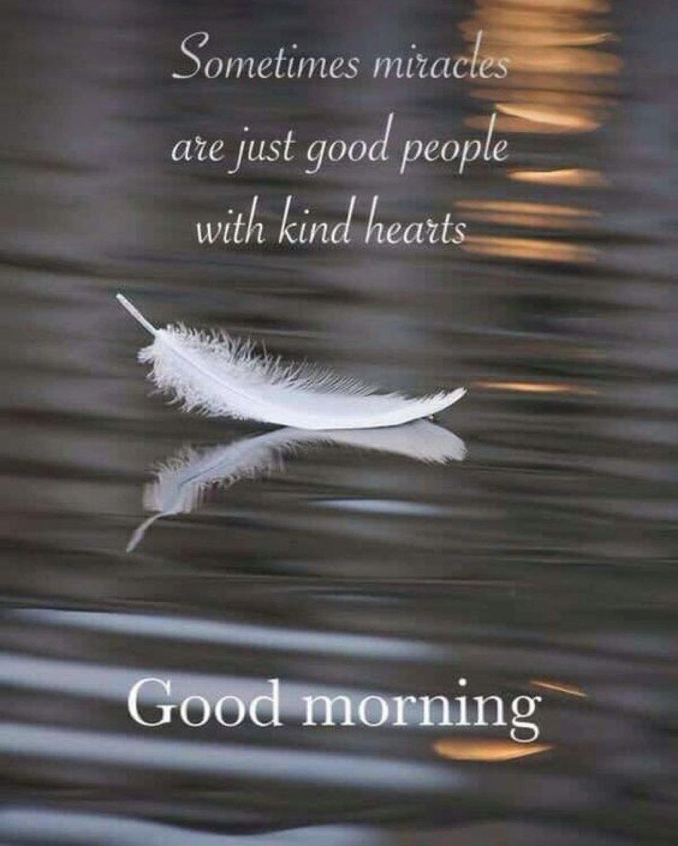 Good morning to all x family ..