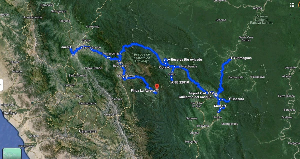 Vic Limay tweet media