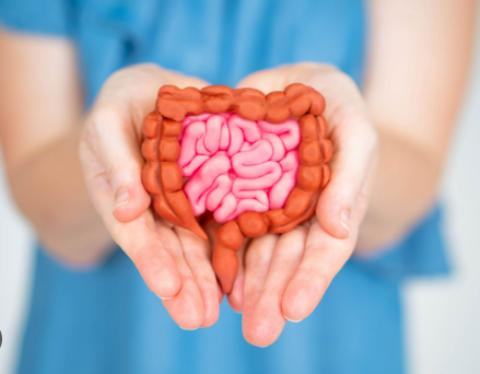 KristenJakobitz's tweet image. Let&apos;s talk #GutHealth. It&apos;s central to #HormoneHealth and plays a major role in digestion, immunity, weight, and even mood. Fill your plate with prebiotics (think asparagus &amp;amp; onion) and probiotics (yogurt &amp;amp; kimchi) to keep your gut happy and healthy! #menopause