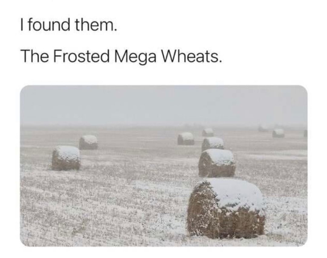 greg 🪐 (@norfsidegreg) on Twitter photo 