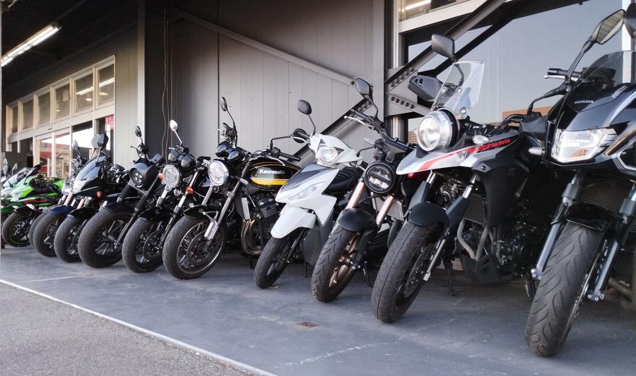 🌸🌸#レンタル819🌸🌸 // バイクが気持ちイイ季節になりましたね